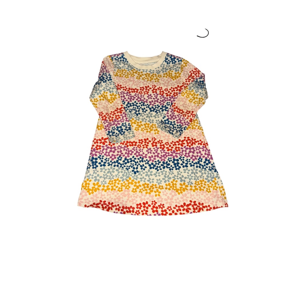 Hannah Andersson Girls Long Sleeve Rainbow Floral Stripe A-Line Dress 4/5